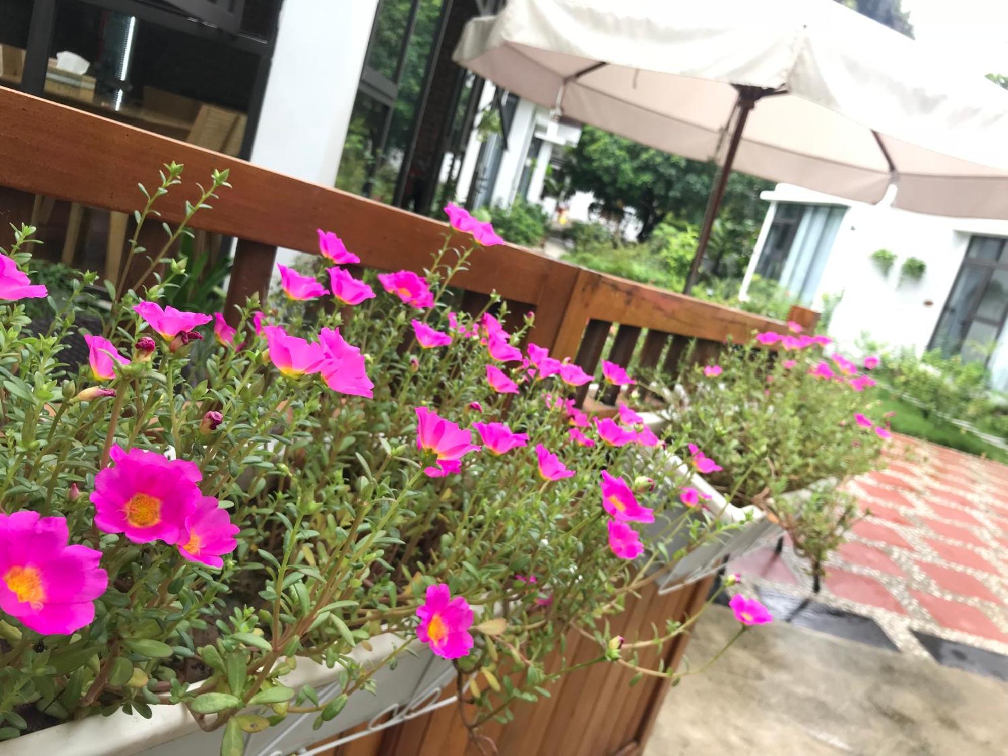 Tam Coc Boutique Garden Otel Ninh Binh Dış mekan fotoğraf