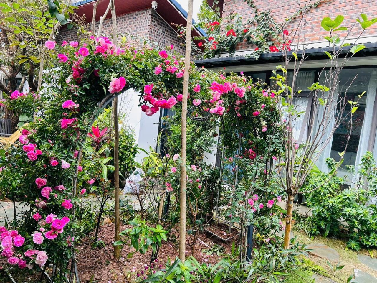 Tam Coc Boutique Garden Otel Ninh Binh Dış mekan fotoğraf